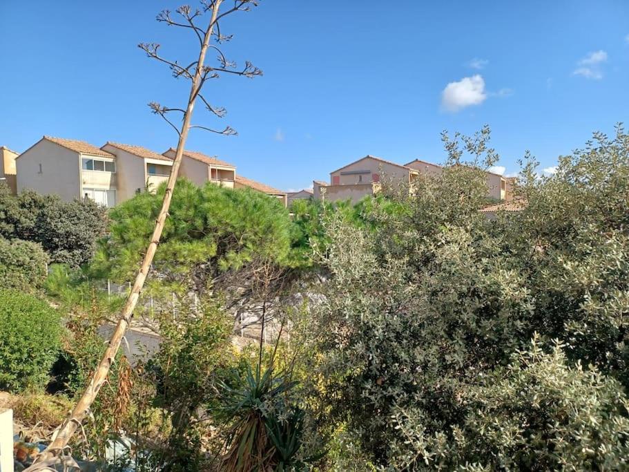 Plain-Pied, Terrasse, Piscine, Pleine Vue Mer, Plage A 6' A Pied, Parking, Wifi فلوري المظهر الخارجي الصورة